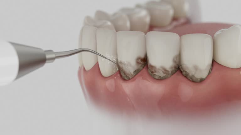 Reliable Dental contractor in Argentine, MI by Dentist Open Now
